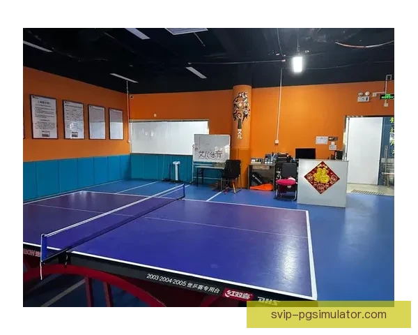 从零基础开始学习乒乓球：实用教学视频全程解析