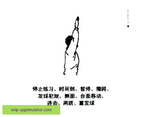 乒乓球规则全面解析：发球、接发、比赛规则详解