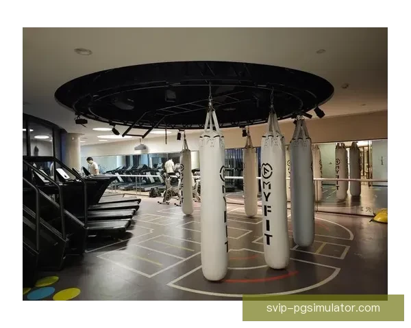 健身对战策略与技巧分析研究