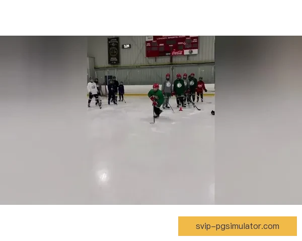 冰球公开赛：热血激情之战