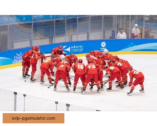 冰球比赛赛果分析及预测技巧分享