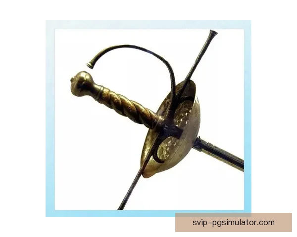 击剑的传承与演变：历史之剑