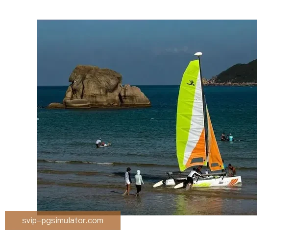 学会冲浪｜新手入门详细指南