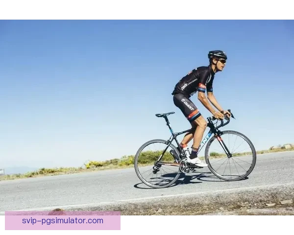 山地车投注技巧：玩转骑行乐趣，挑战极限速度