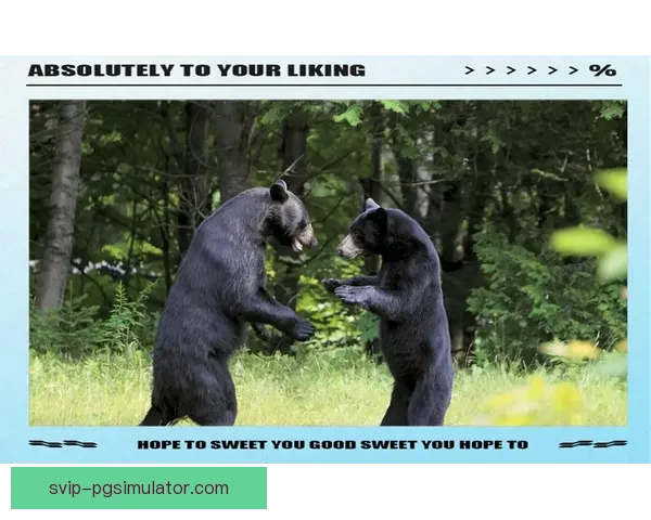 拳击实时比分，精彩呈现盛大对决