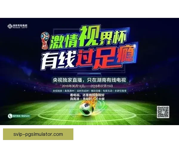 排球杯赛：激情对决，争霸重燃