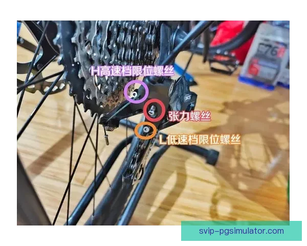 提高自行车技巧的10个小窍门