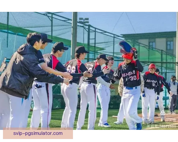 棒球赛事掠影：胜者为王，独领风骚