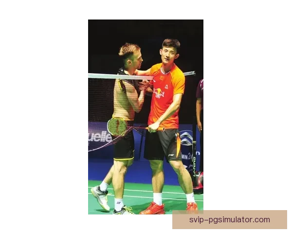 柔道实时比分更新：掌握比赛动态信息