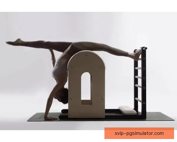 深度解析普拉提数据分析技术优势及应用实践