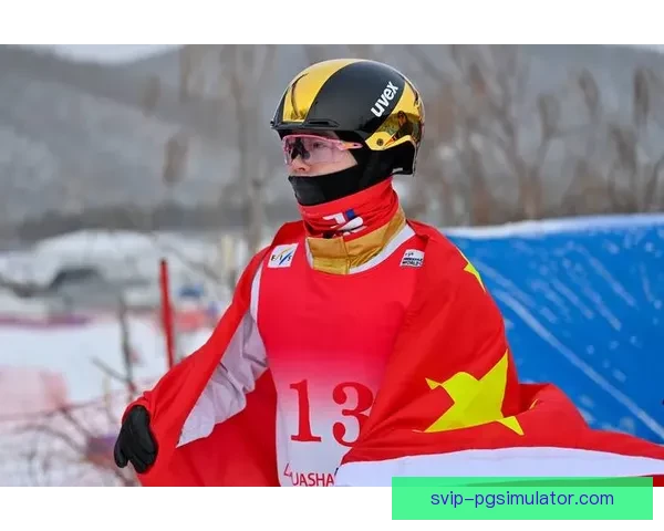 滑雪排名分析：追寻胜利之路