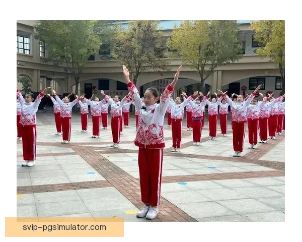 灿烂体操盛宴：携手庆祝，竞技风采共赏