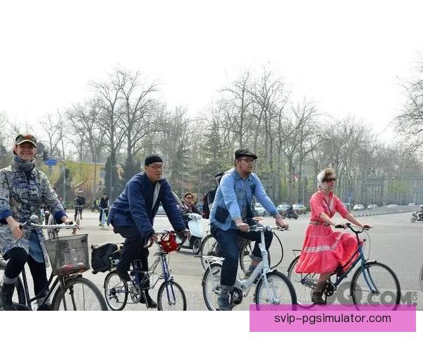 自行车数据分析：骑行趋势与城市发展的关联研究