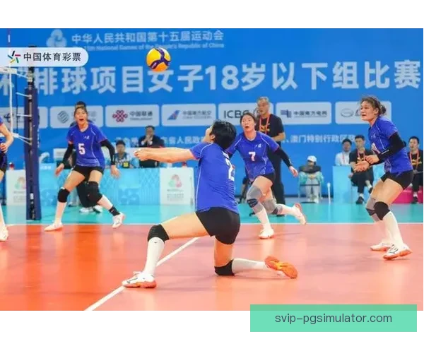 精彩绽放：排球锦标赛的辉煌时刻