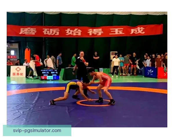 精彩摔跤赛事回放大盘点