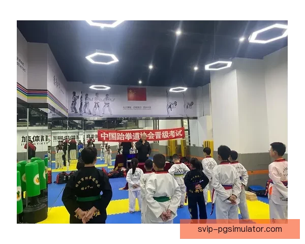 跆拳道排名解析及技术提升策略介绍