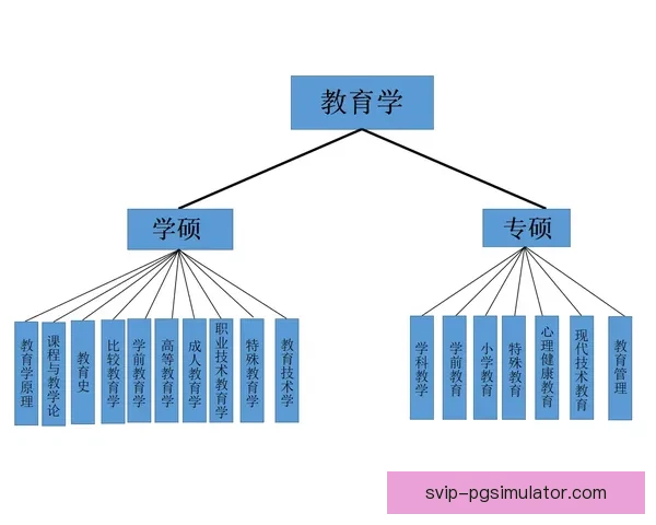 跆拳道盘口分析：实战技术与心理策略解析