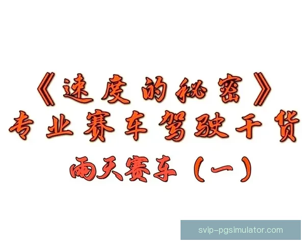 赛车比赛中的重要规则及技巧分享