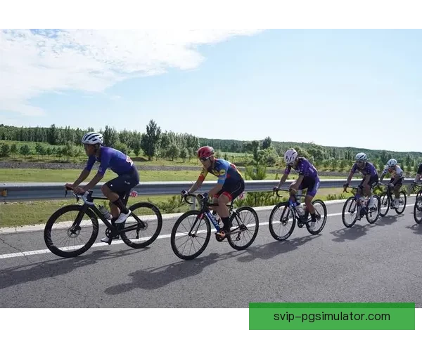 骑行狂热：揭秘自行车联赛的魅力与技术