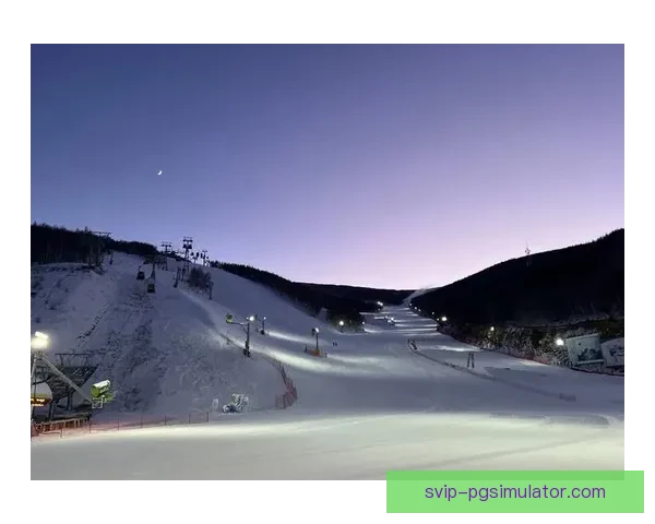 震撼雪场！挑战极限！燃爆滑雪锦标赛！