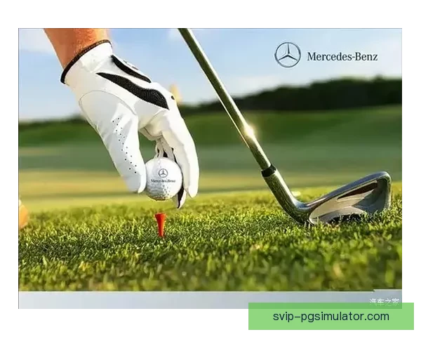 高尔夫精英对决：争夺冠军的挑战