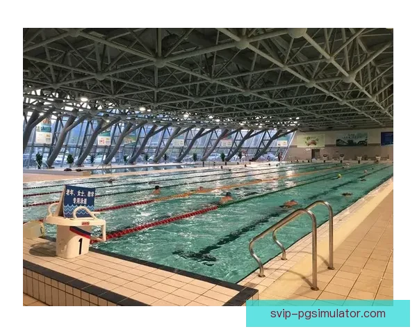 铁人三项运动全攻略：入门指南